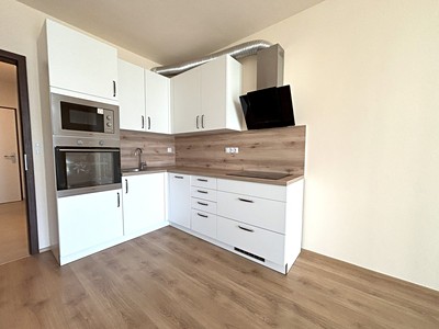 Pronájem bytu 1+kk 36 m²