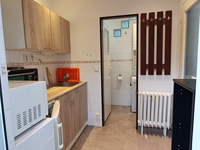Pronájem bytu 1+1 40 m² (Jednopodlažní)