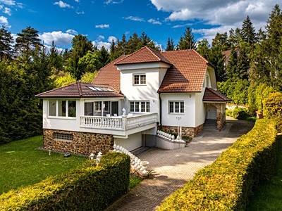 V Zátiší, Družec