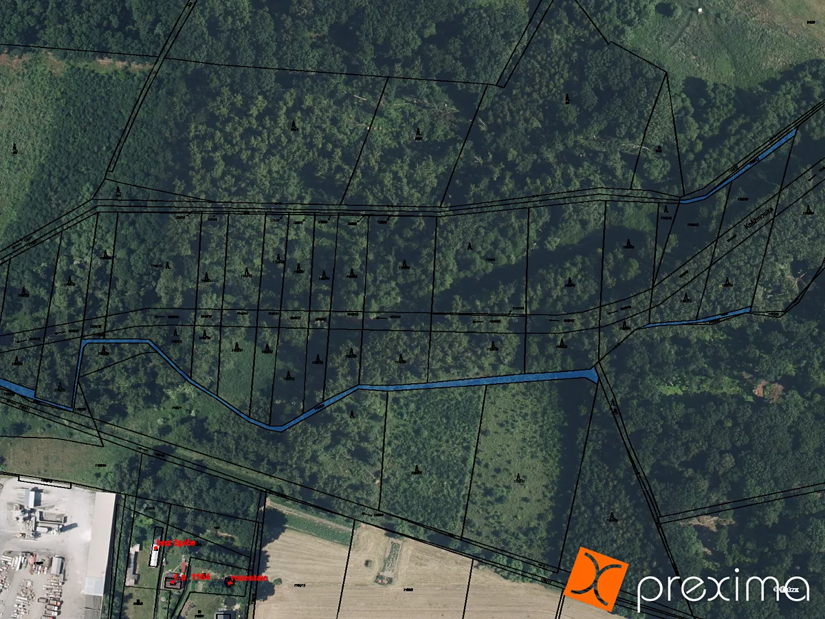 Prodej podílu 2/35 lesa 85 m²