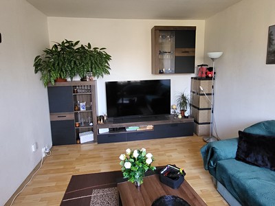 Prodej bytu 1+1 35 m² (Jednopodlažní)