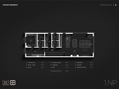 Prodej bytu 6 pokojů a více 247 m² — photo 4