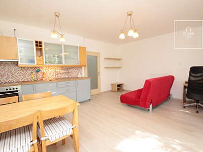 Pronájem bytu 1+kk 36 m²