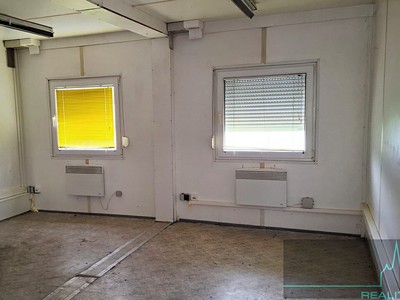 Pronájem bytu 6 pokojů a více 250 m² — photo 5