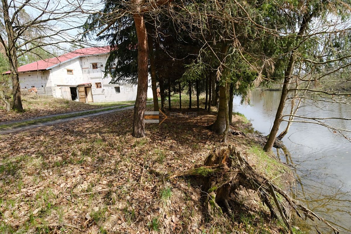 Prodej rodinného domu 250 m², pozemek 1054 m² – fotografie 5
