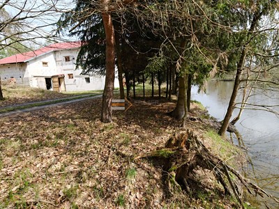 Prodej  rodinného domu 250 m², pozemek 1 054 m² — photo 3