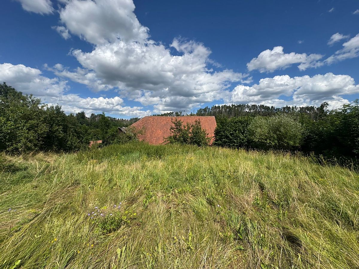 Prodej rodinného domu 140 m², pozemek 3036 m² – fotografie 2
