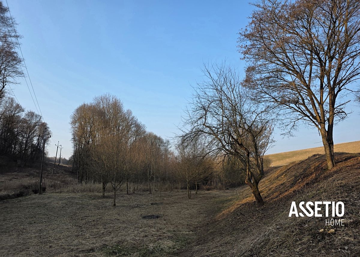 Prodej lesa 1671 m² – fotografie 3