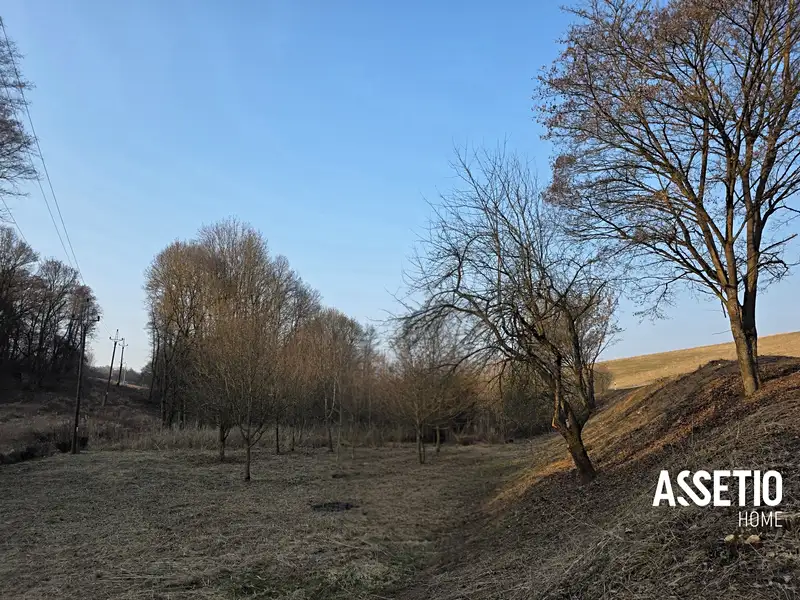 Prodej lesa 1671 m², Doubravy – náhled fotky 3