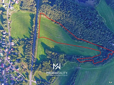 Prodej  lesa 76 451 m²