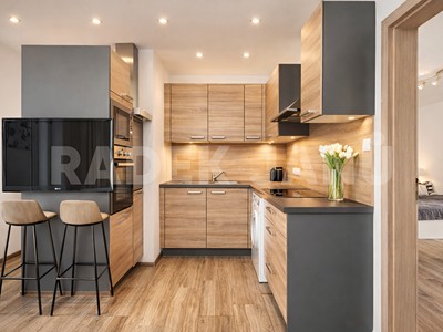 Pronájem bytu 1+1 44 m² (Jednopodlažní)