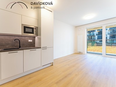 Pronájem bytu 2+kk 45 m² (Jednopodlažní)