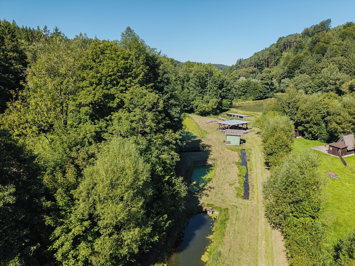 Pronájem rybníku (vodní plochy) 8295 m² – fotografie 4