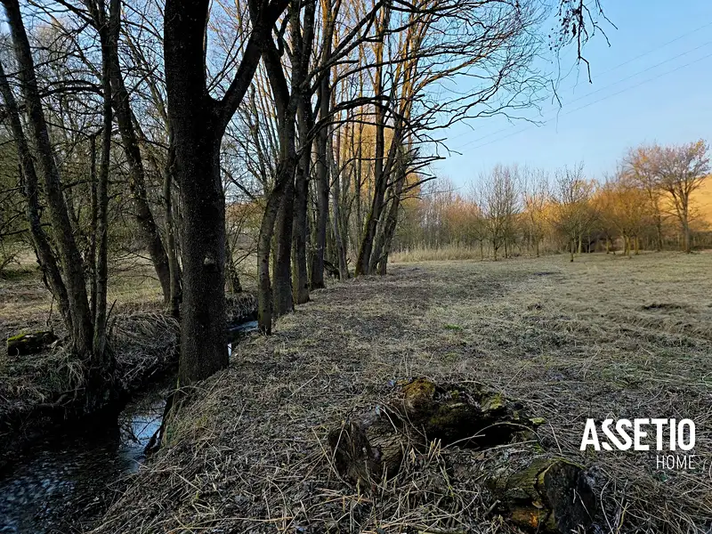Prodej lesa 1671 m², Doubravy – náhled fotky 2