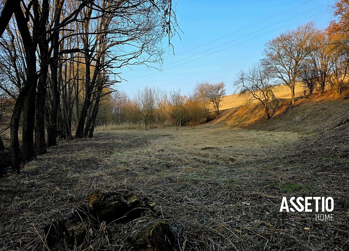 Prodej lesa 1671 m²