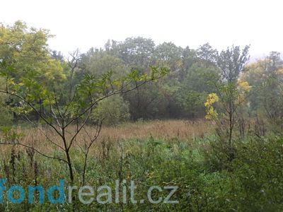 Prodej zahrady 1281 m²
