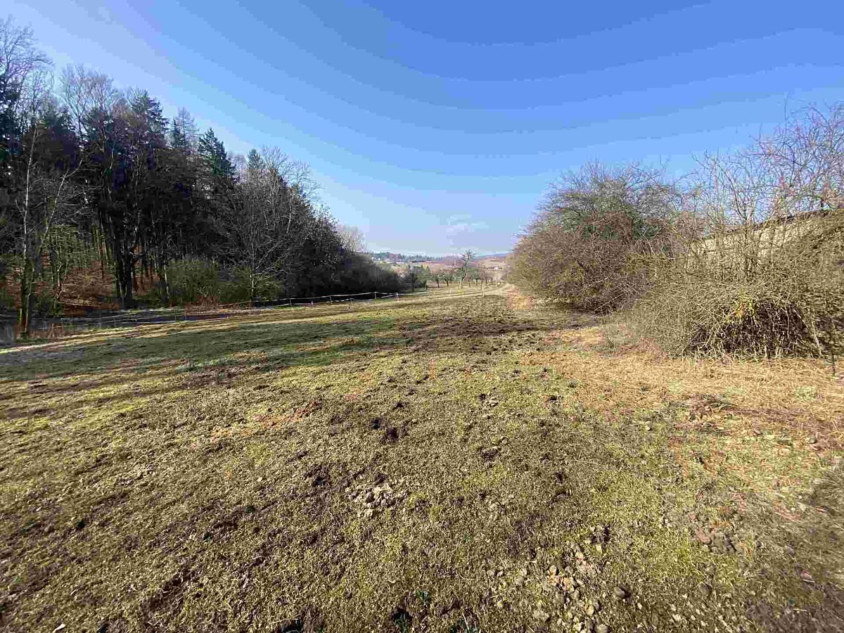 Prodej pozemku 1443 m² – fotografie 2