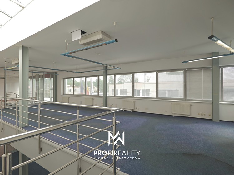 Комерційне приміщення в оренду, 660 м² (12 з 40)
