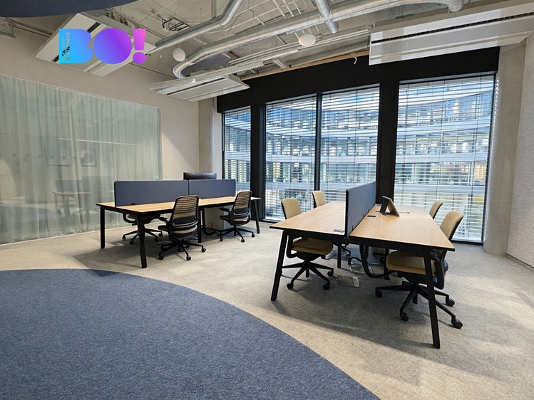 Gewerbefläche zur Miete, 300 m² (3 von 15)