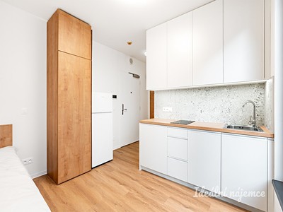 Pronájem bytu 1+kk 17 m²