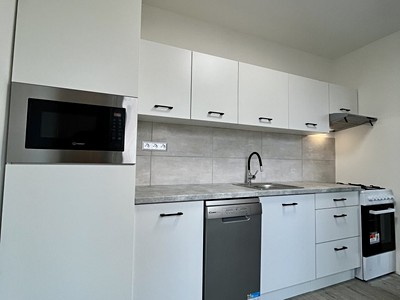 Pronájem bytu 1+1 39 m²