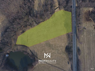 Prodej  louky 13 929 m²