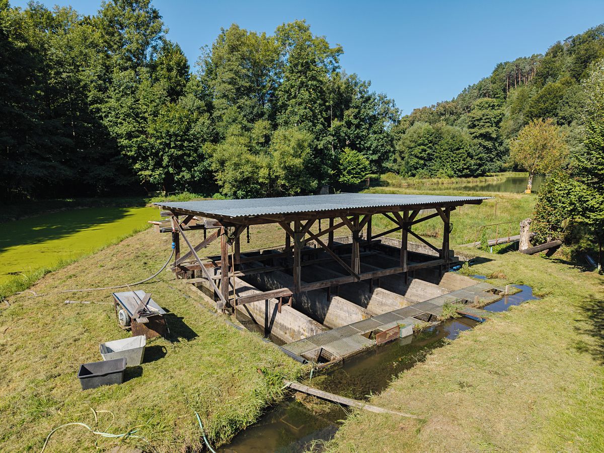 Pronájem rybníku (vodní plochy) 8295 m² – fotografie 2