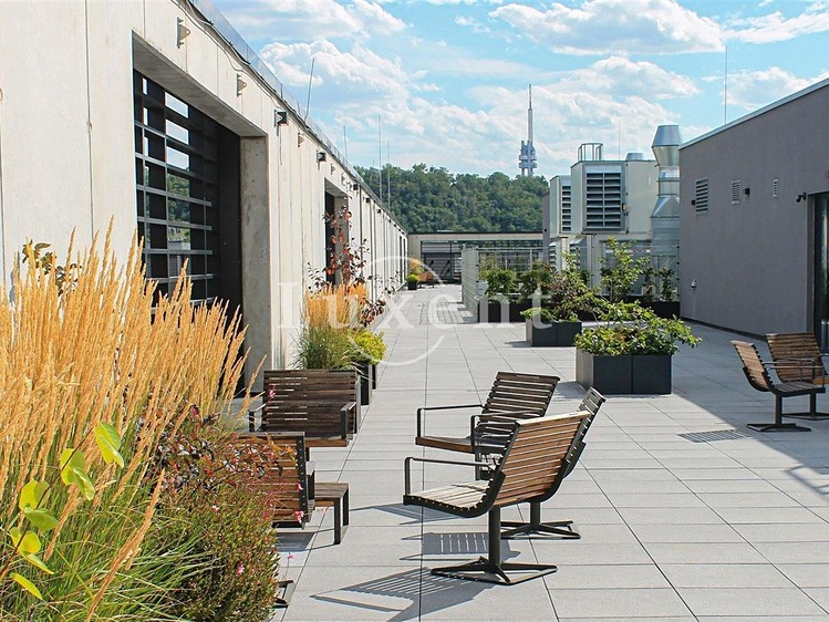 Gewerbefläche zur Miete, 467 m² (6 von 8)