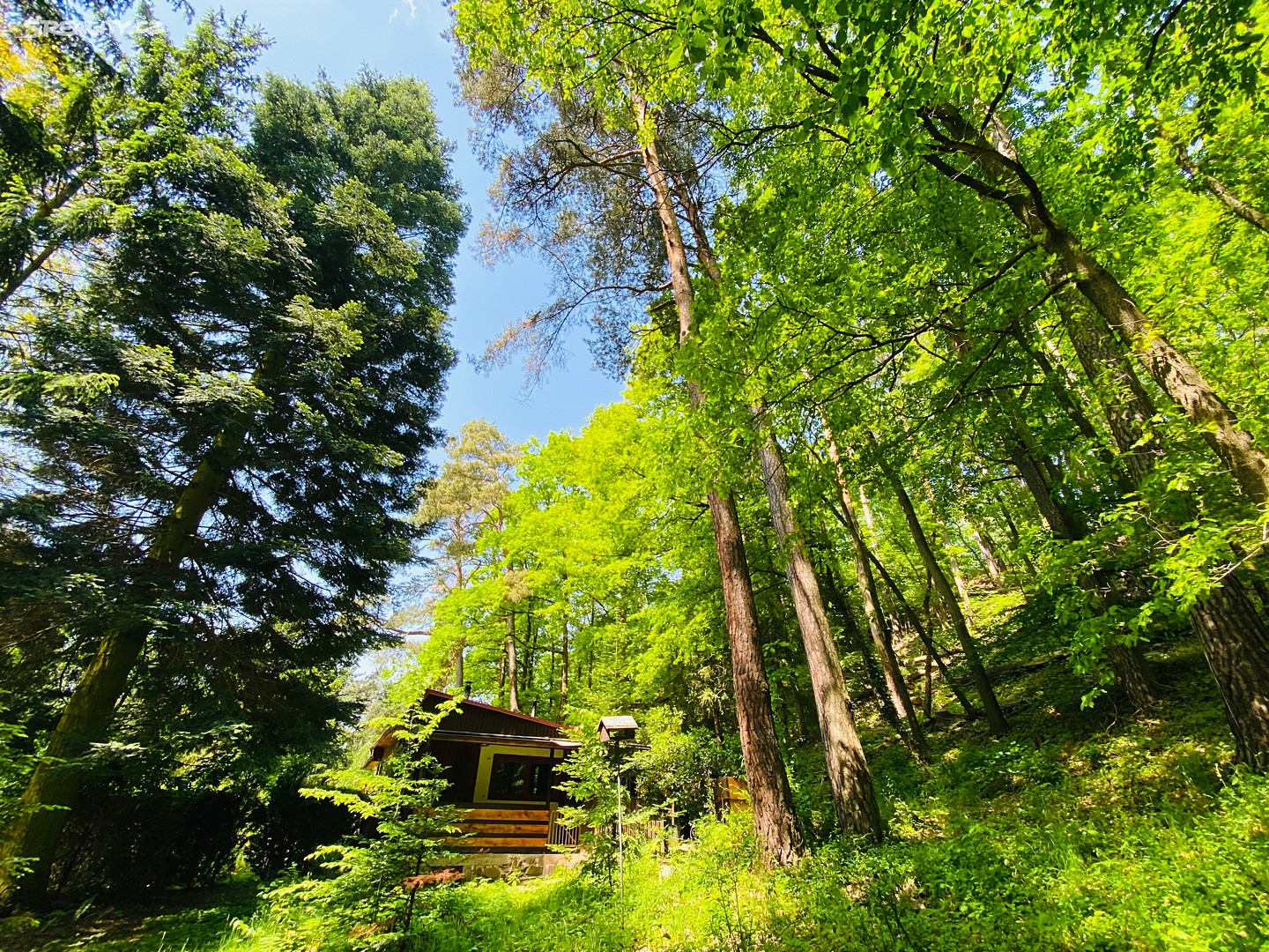 Prodej  chaty 40 m², pozemek 228 m²