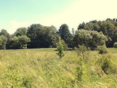 Prodej pole 28977 m²