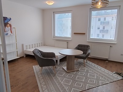 Pronájem bytu 1+kk 31 m² (Jednopodlažní)