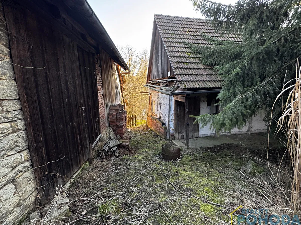 Fotka 11 z 25