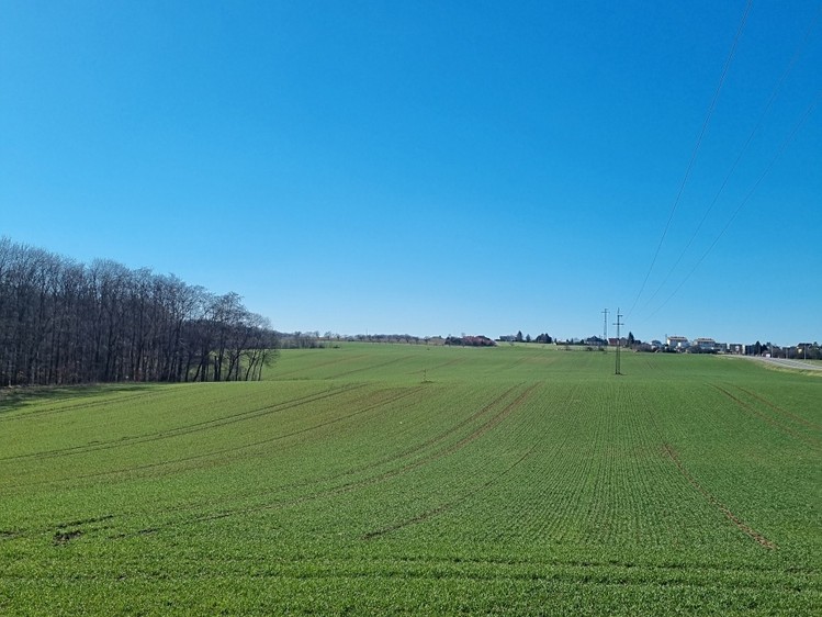 Ділянка на продаж, 17 432 м² (1 з 5)