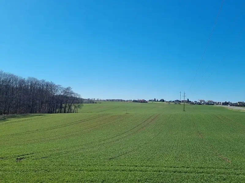 Prodej pole 17432 m², Hrabyně – náhled fotky 1