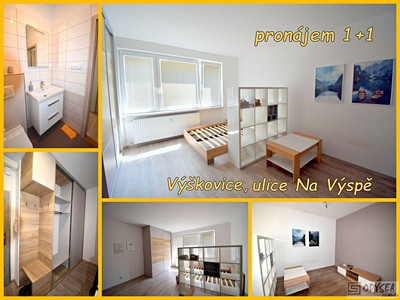 Pronájem bytu 1+1 40 m²