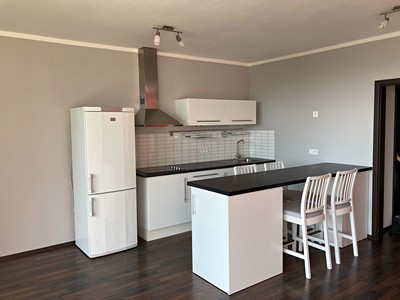 Prodej bytu 2+kk 50 m² (Jednopodlažní)