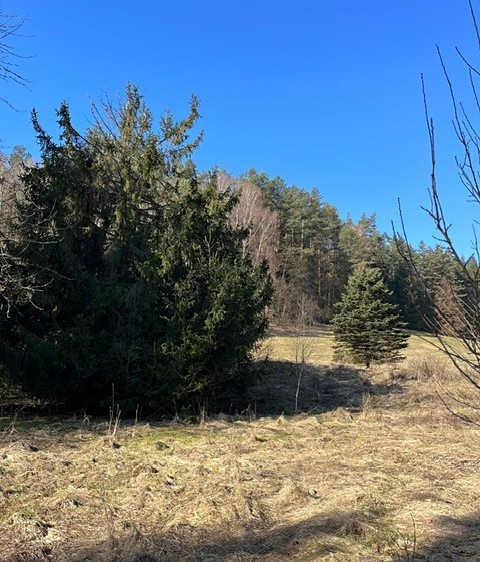 Prodej pozemku, 5 083 m² (5 z 9)