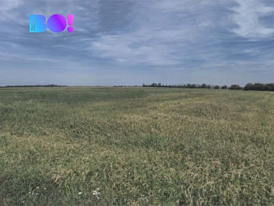 Ділянка на продаж, 9 400 м² (2 з 3)