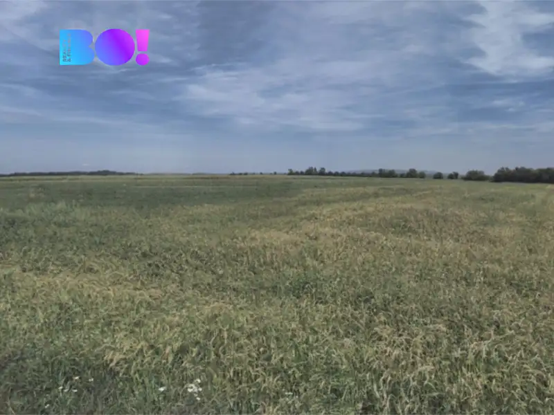 Prodej pole 9400 m², Přibice – náhled fotky 2