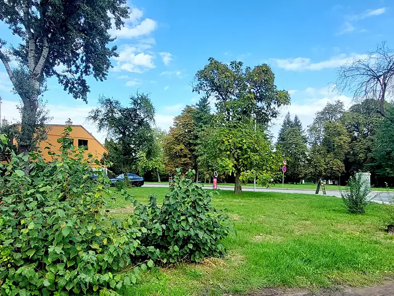Prodej stavebního pozemku 496 m², Poděbrady – náhled fotky 2