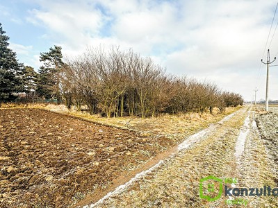 Prodej  stavebního pozemku 600 m² — photo 3