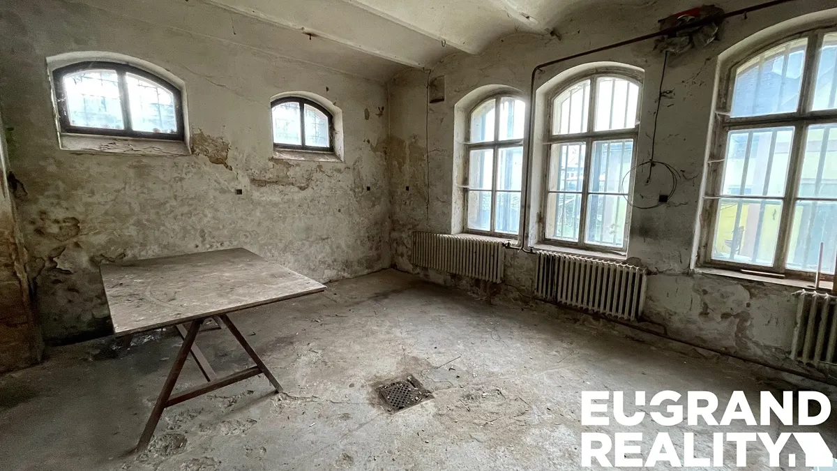 Fotka 8 z 11