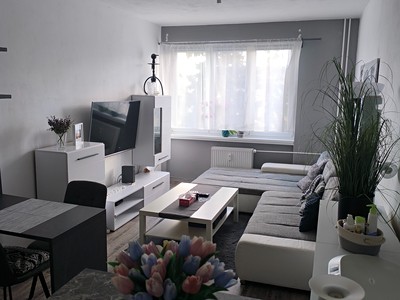 Prodej bytu 3+1 65 m² (Jednopodlažní)
