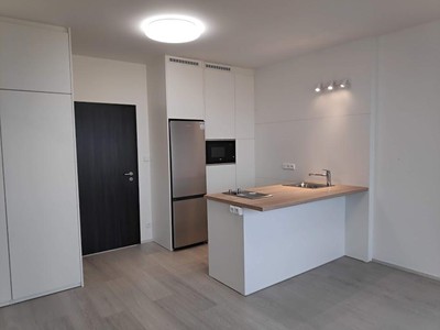 Pronájem bytu 1+kk 28 m² (Jednopodlažní)