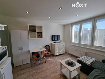 Pronájem bytu 1+kk 20 m² (Jednopodlažní)