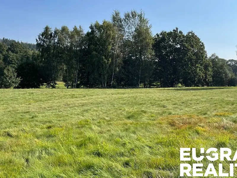 Prodej louky 14798 m², Šluknov – náhled fotky 3