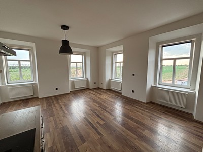 Pronájem bytu 1+kk 40 m²