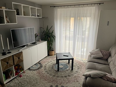 Pronájem bytu 2+1 45 m²