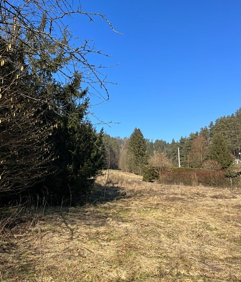 Prodej pozemku, 5 083 m² (6 z 9)