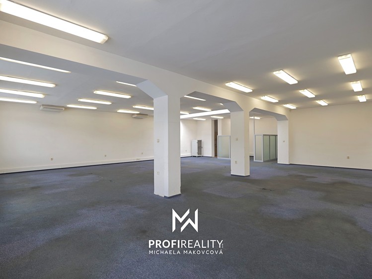 Комерційне приміщення в оренду, 660 м² (8 з 40)